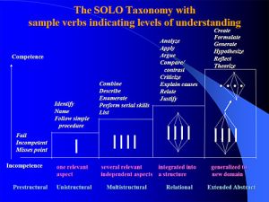 Solo taxonomy.jpg