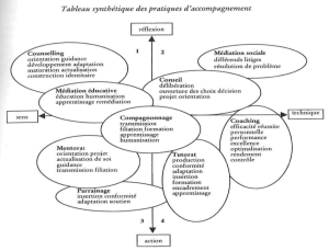 Paul 2004 Pratiques accompagnement.png